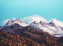 湖人小将惊艳表现获詹皇认可 塔克已赢教练信任？