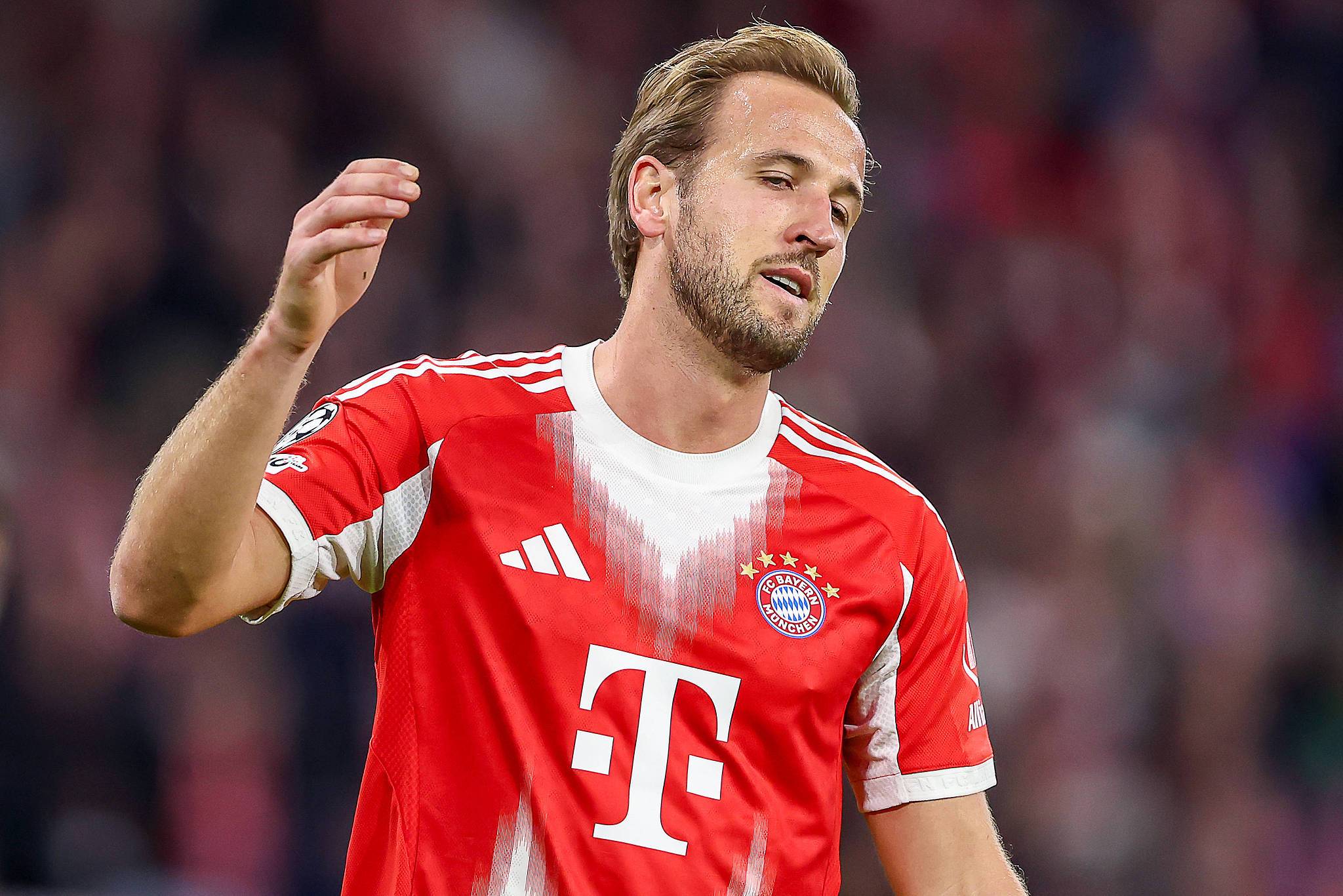 开云体育-炸肉排粉丝凯恩：“这很美味”